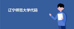 辽宁师范大学代码