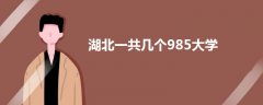 湖北一共几个985大学