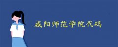 咸阳师范学院代码