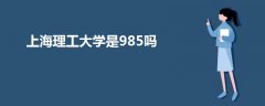上海理工大学是985吗