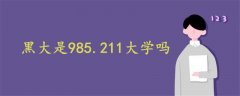 黑大是985.211大学吗