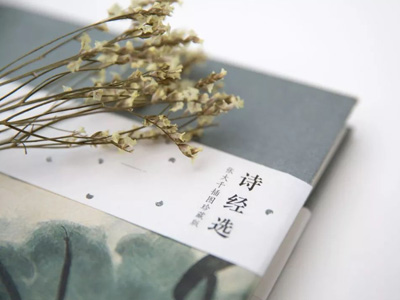 其雨其雨，杲杲出日。愿言思伯，甘心首疾。焉得谖草