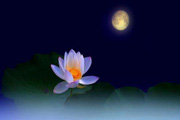 中秋思乡句子