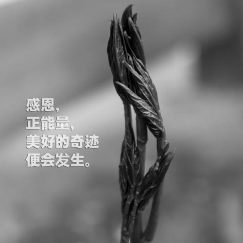 励志女人签名