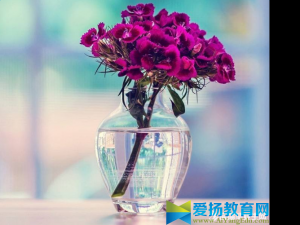 周末问候语大全百度