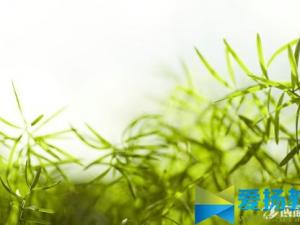 关于五一劳动节祝福语句大全
