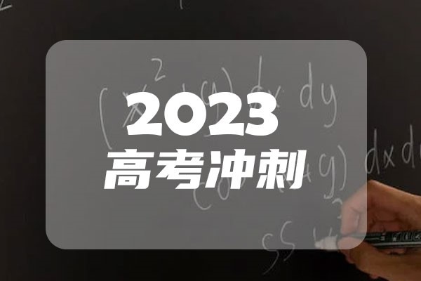 2023年上海新高考一分一段表 位次排名查询